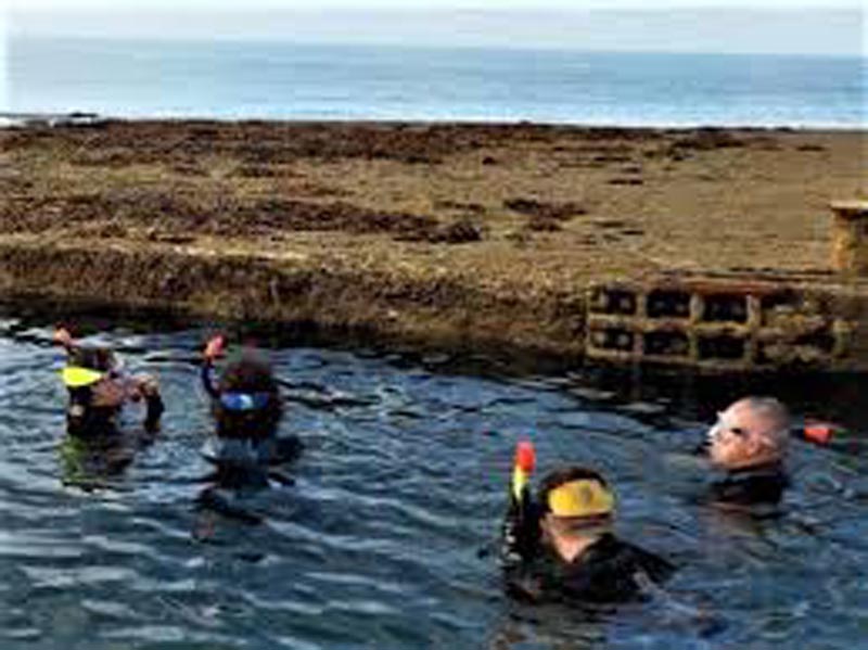Inner Mulberry Harbour photo 2