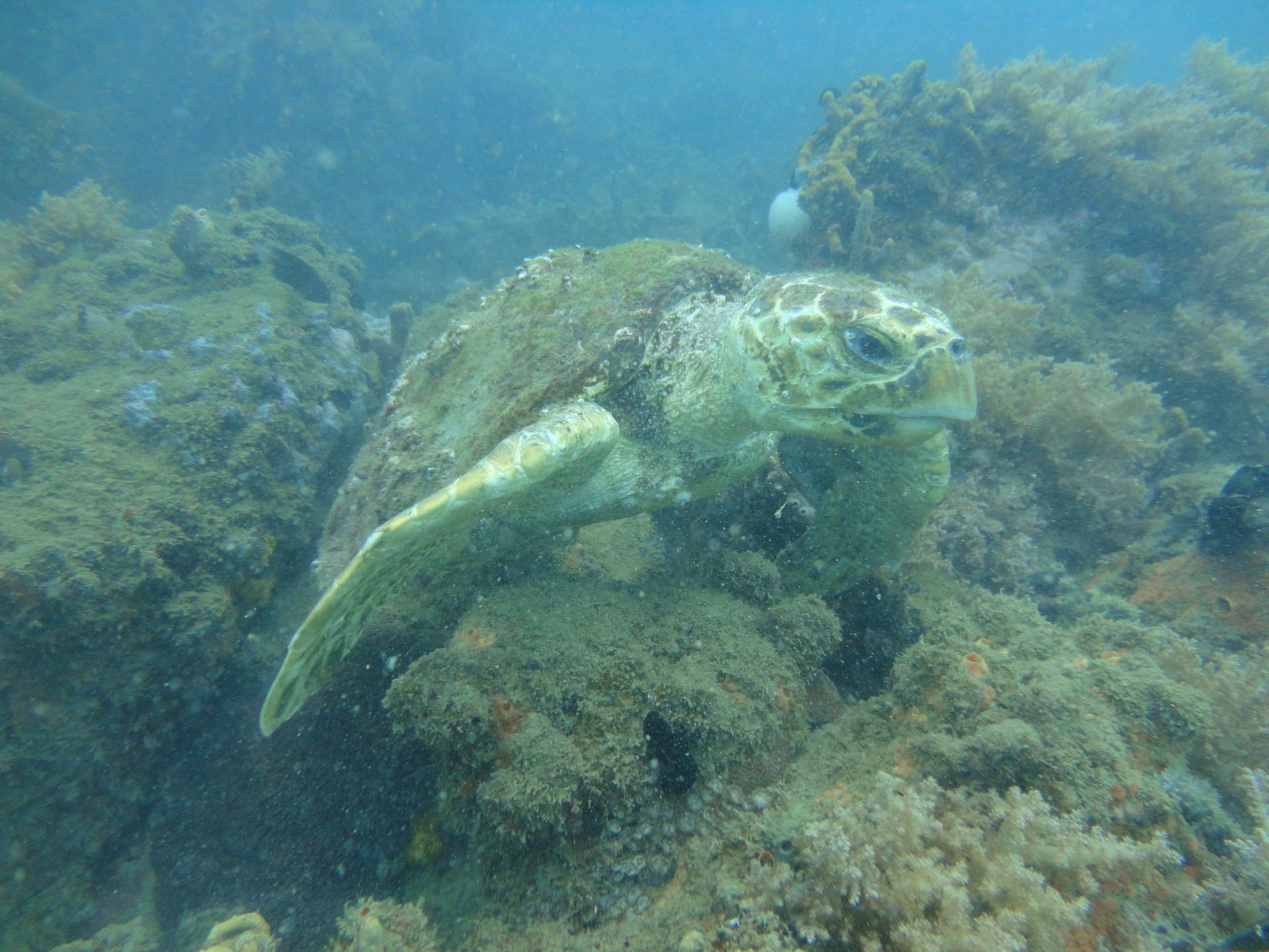 Quebra Mar photo 7