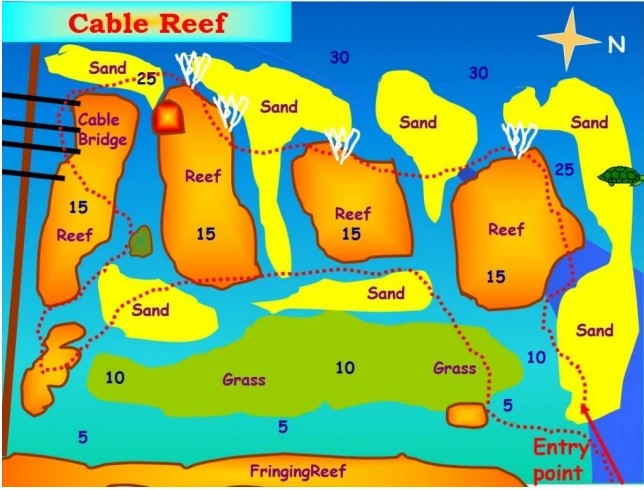 Cabel Reef photo 3
