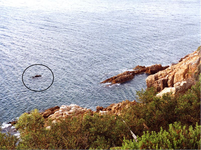 Pinnacle photo 2