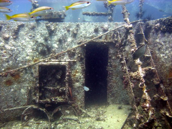King Cruiser Wreck photo 2