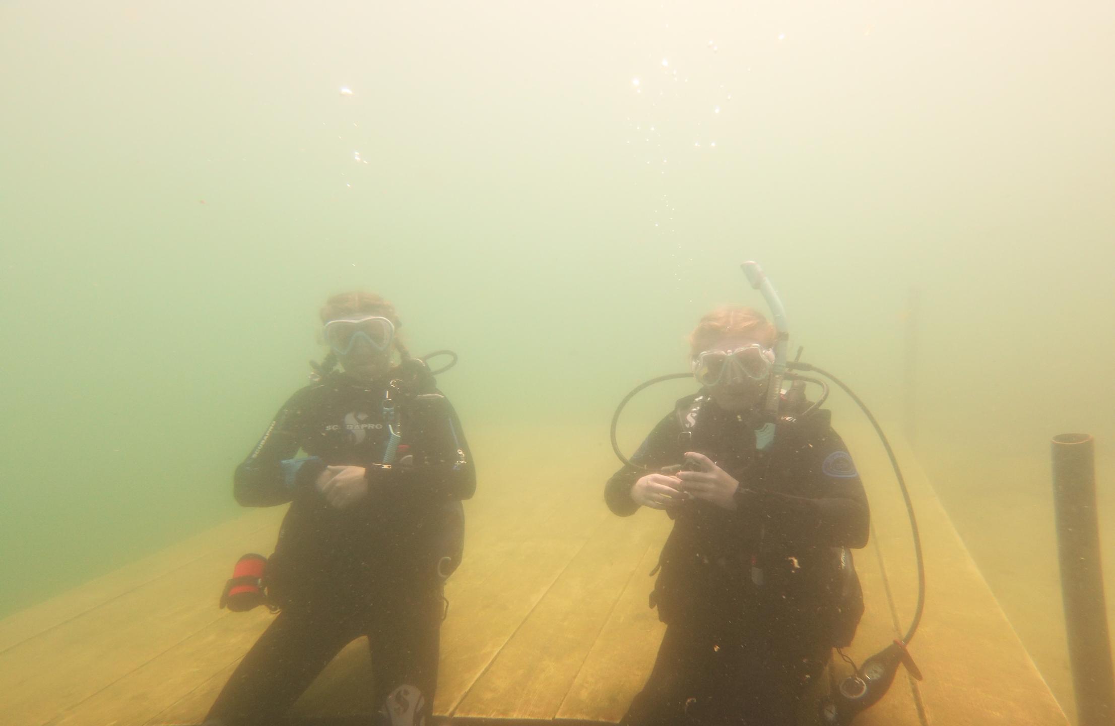 Bluegill Alley photo 12