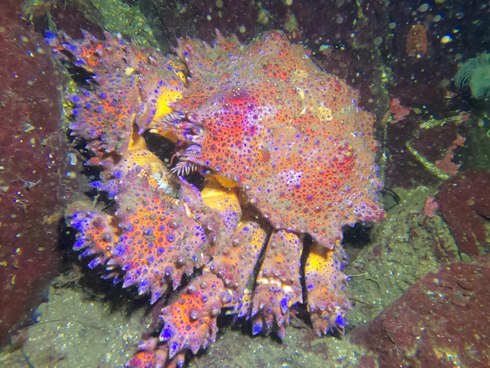 Tyee Cove photo 4