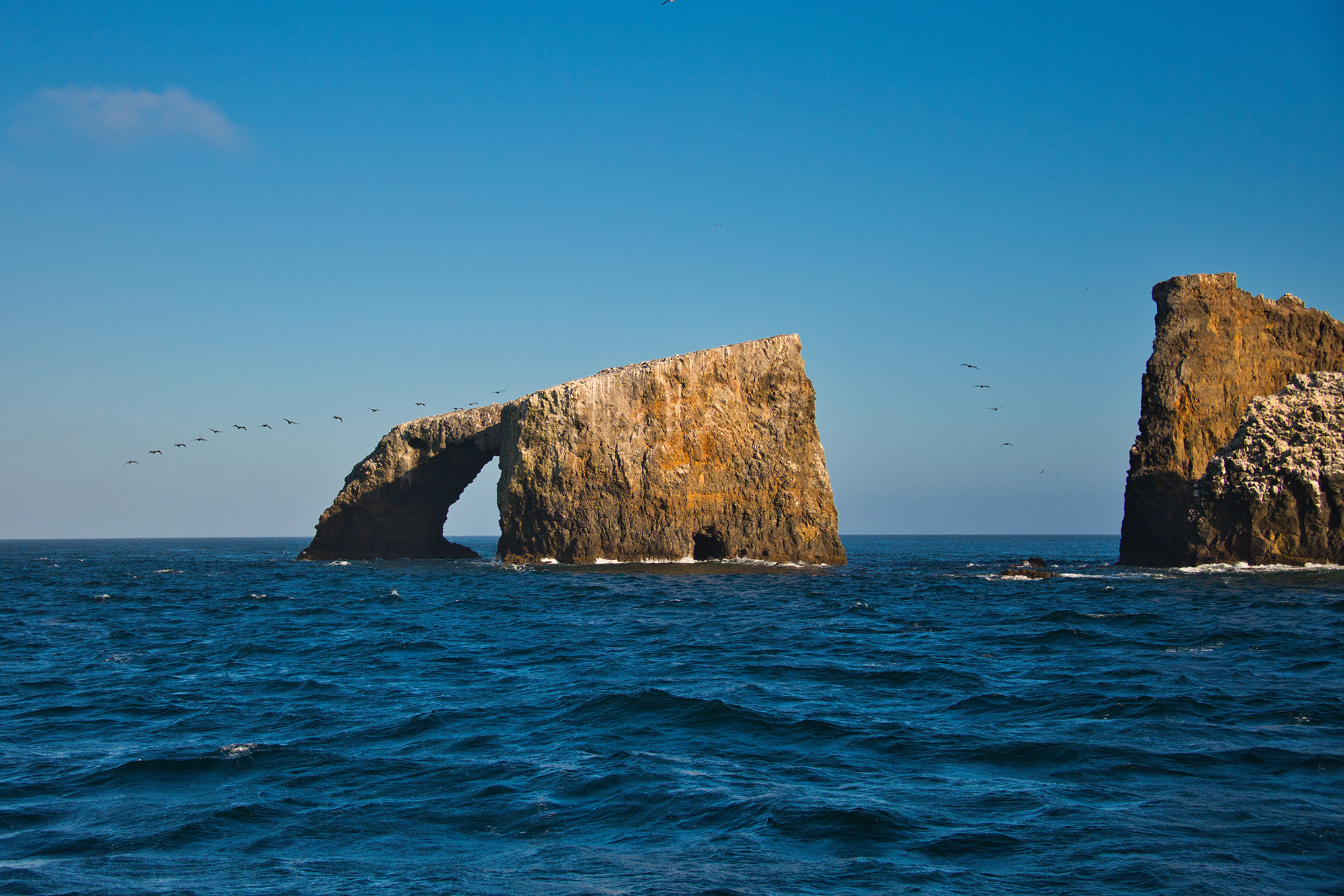 The Arch