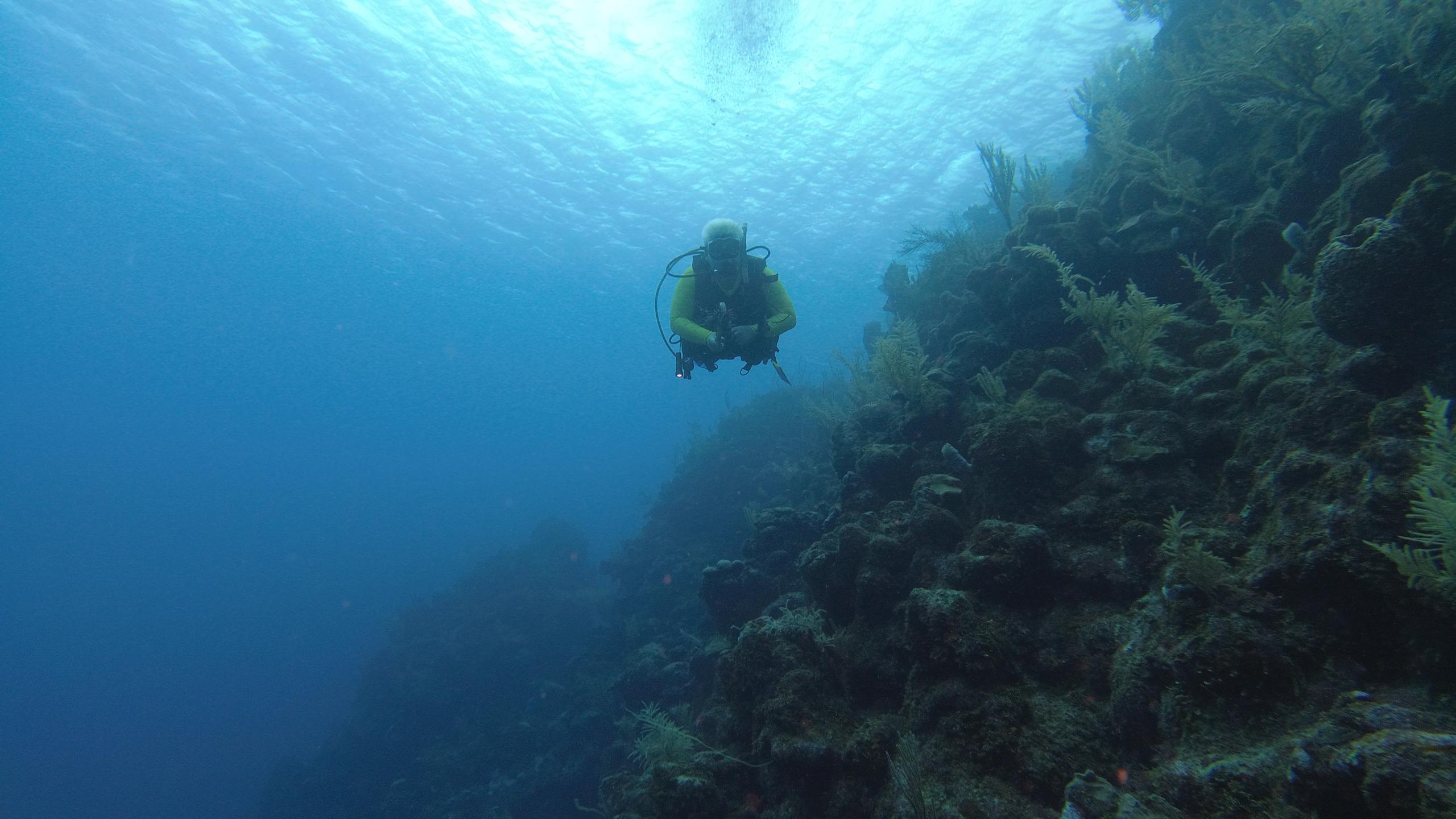 Bear's Den photo 3