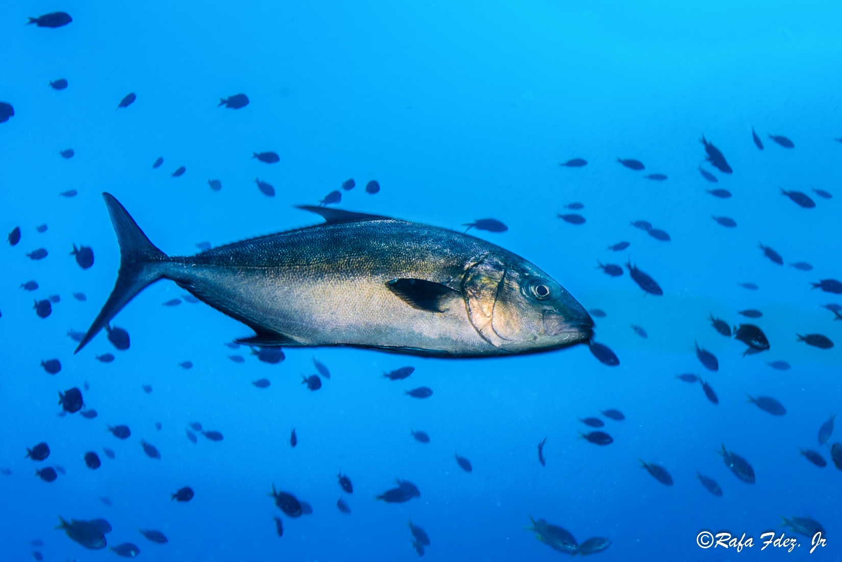 Djeu - São Vicente, Cabo Verde photo 5