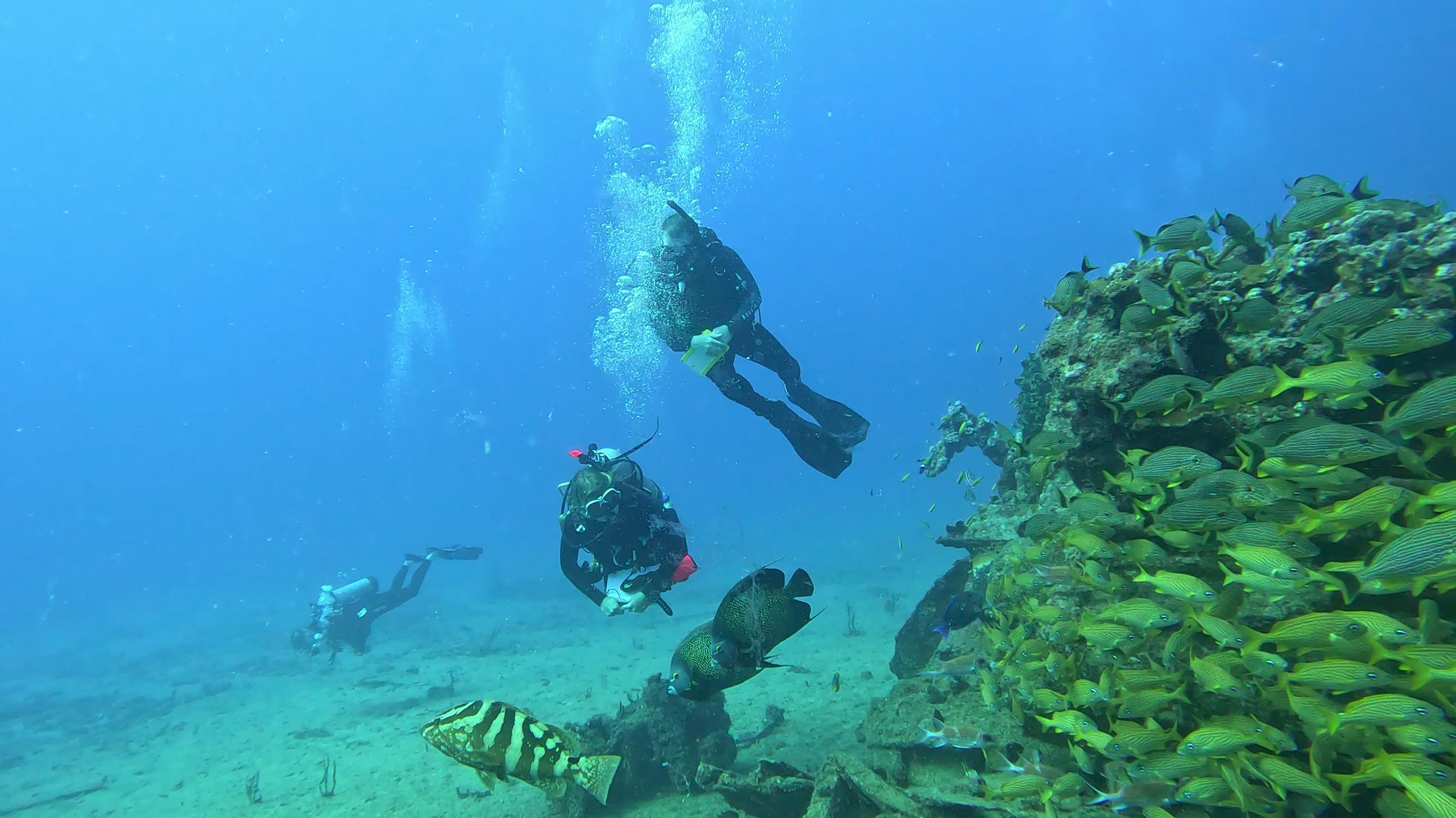 Tiegland/Cable Reef photo 5