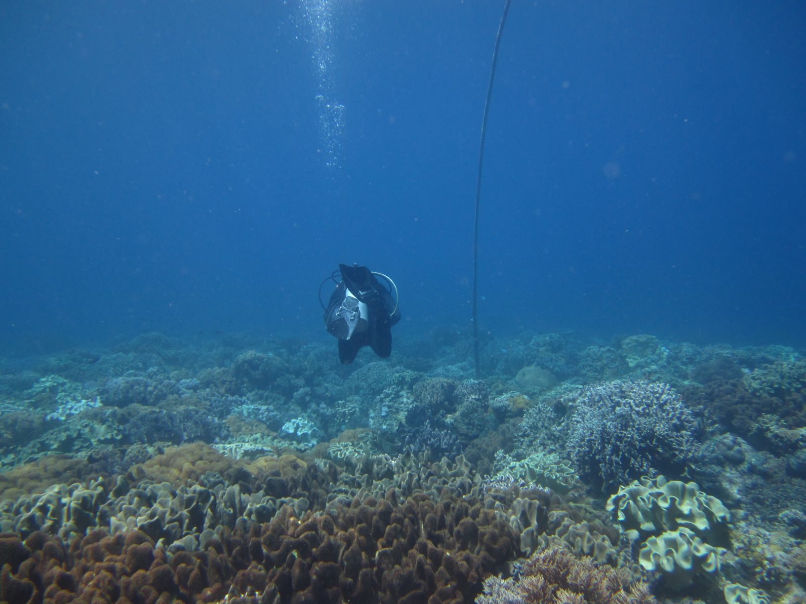 Dauin South photo 2