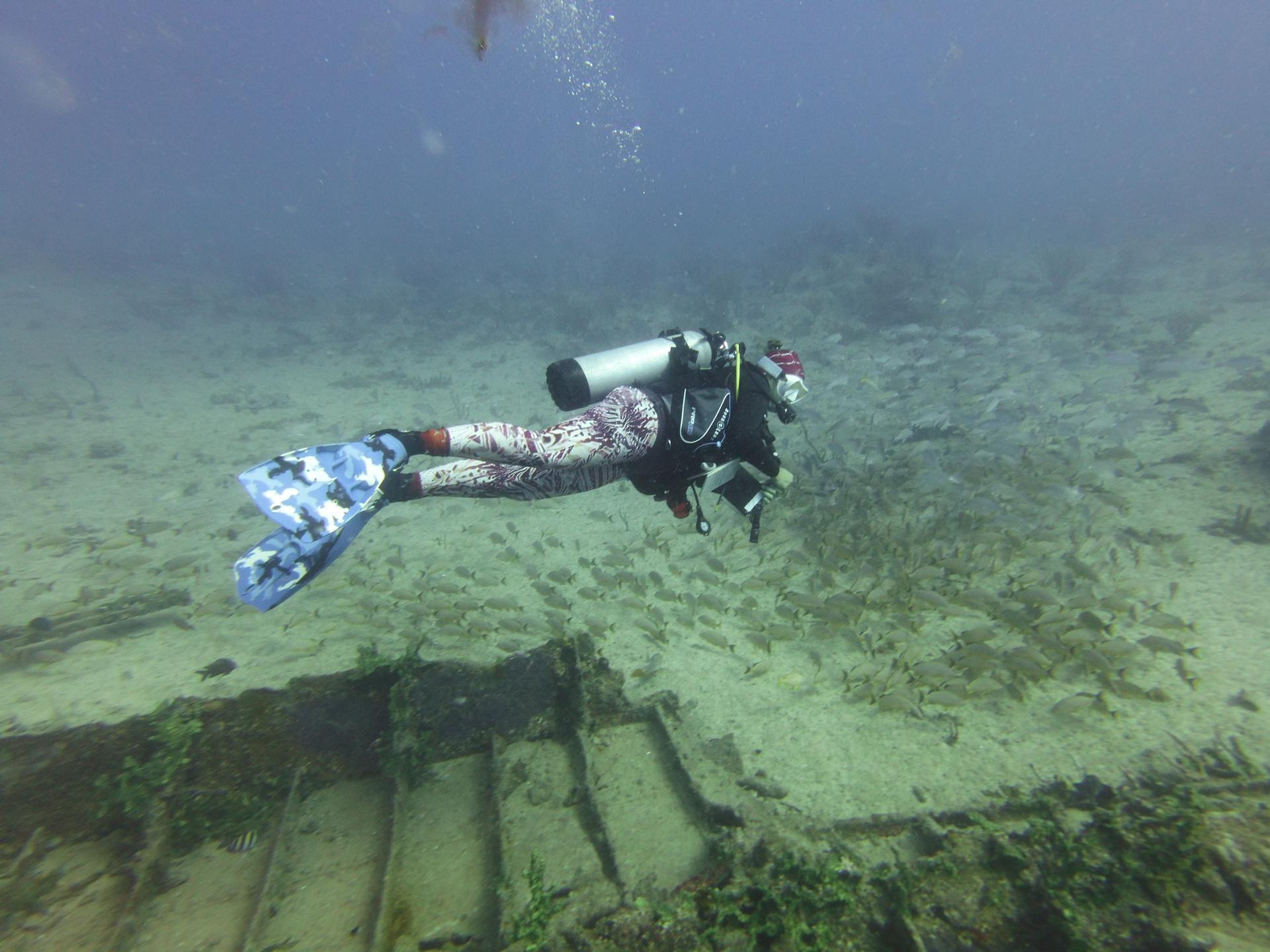 Tiegland/Cable Reef photo 2