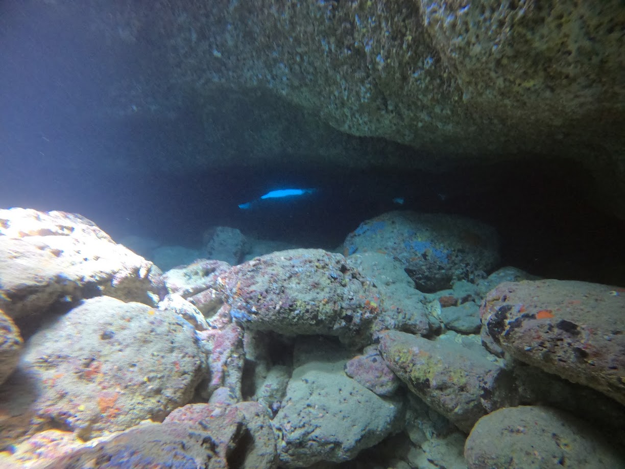 Palma Cavern photo 3