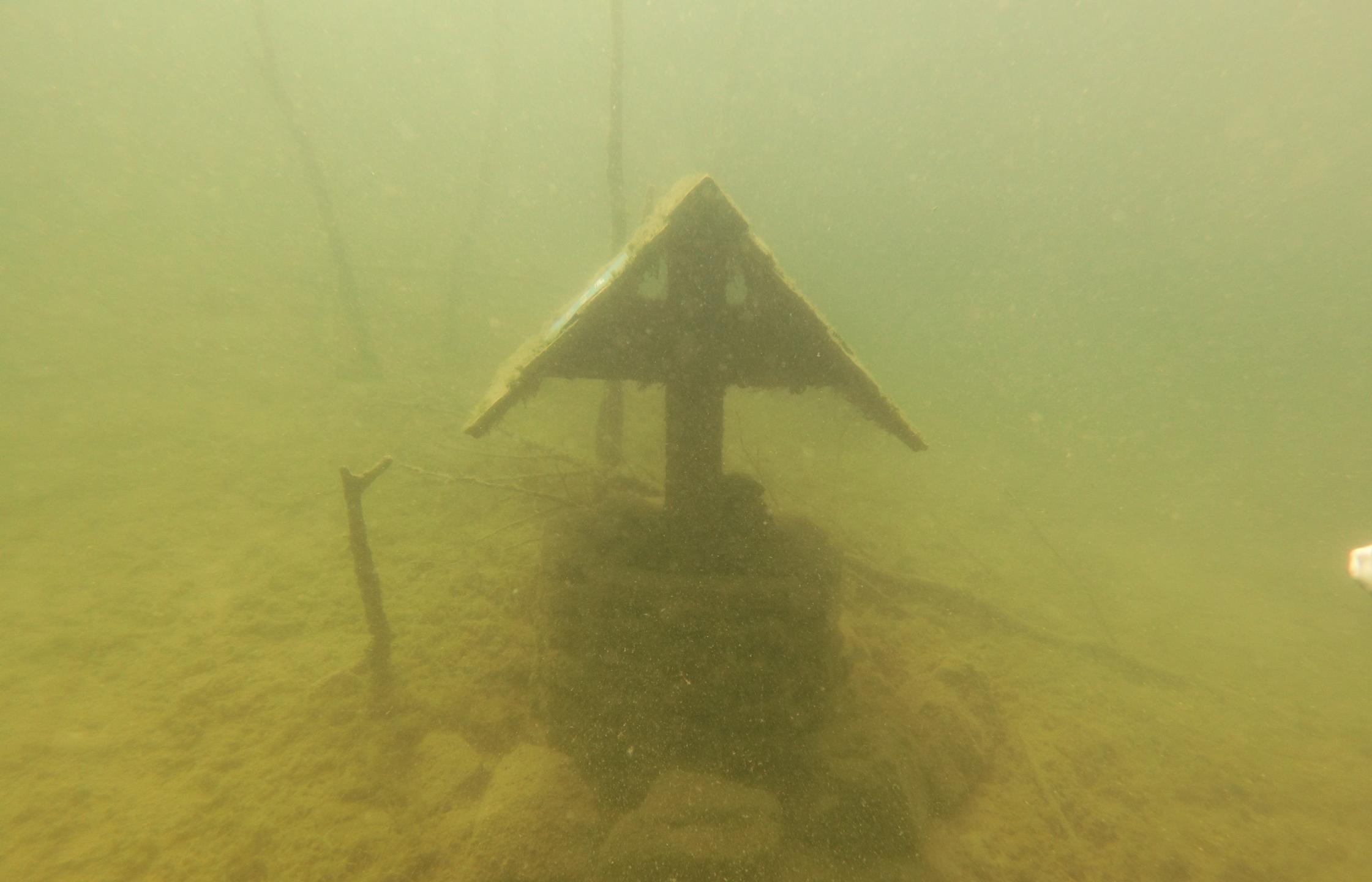 Bluegill Alley photo 20