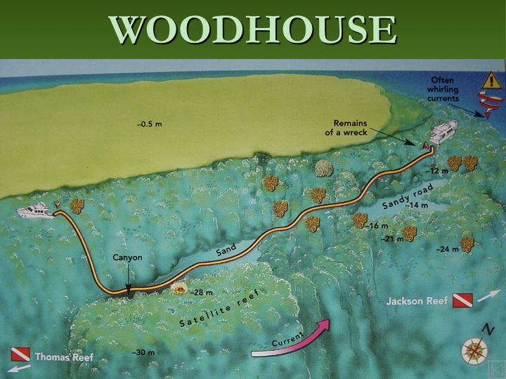 Wood House - Straits of Tiran