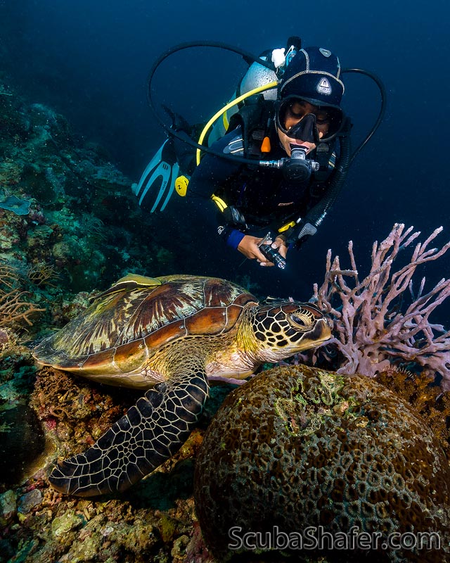 Magic Island House Reef photo 2