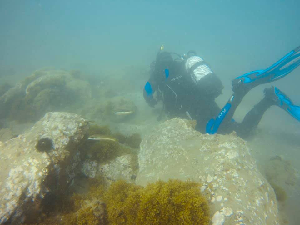 Playa Seghers photo 6