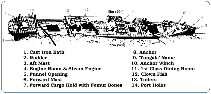 Yongala Wreck