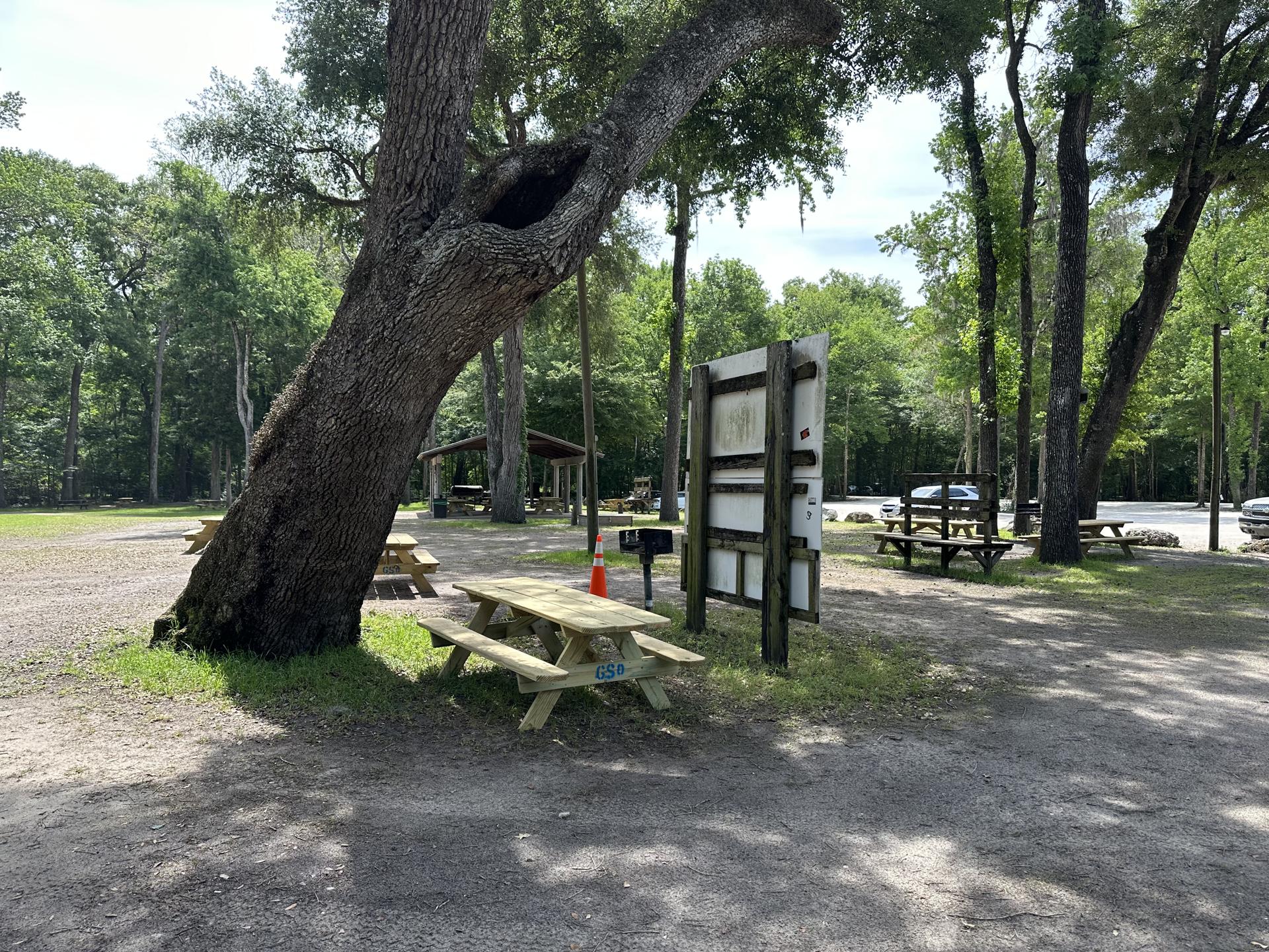 Ginnie Springs photo 3