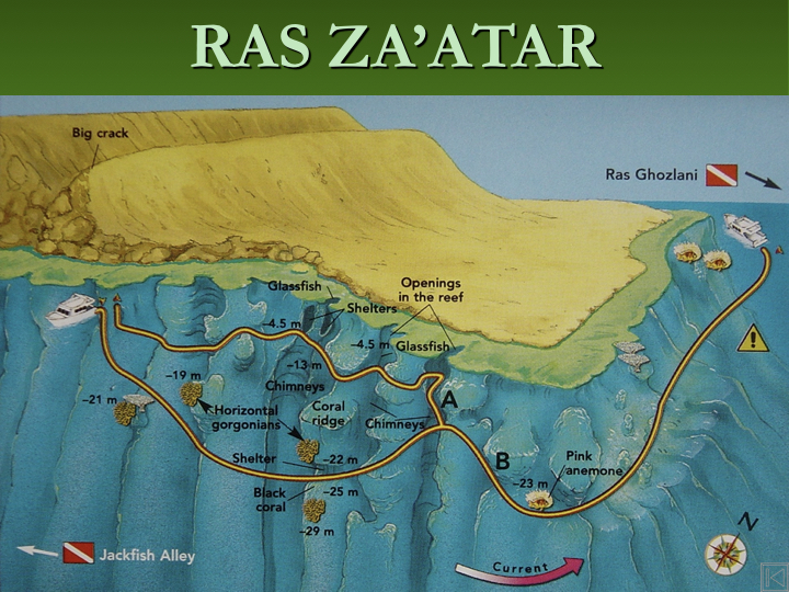 Ras Za'atar - Ras Mohammed photo 6