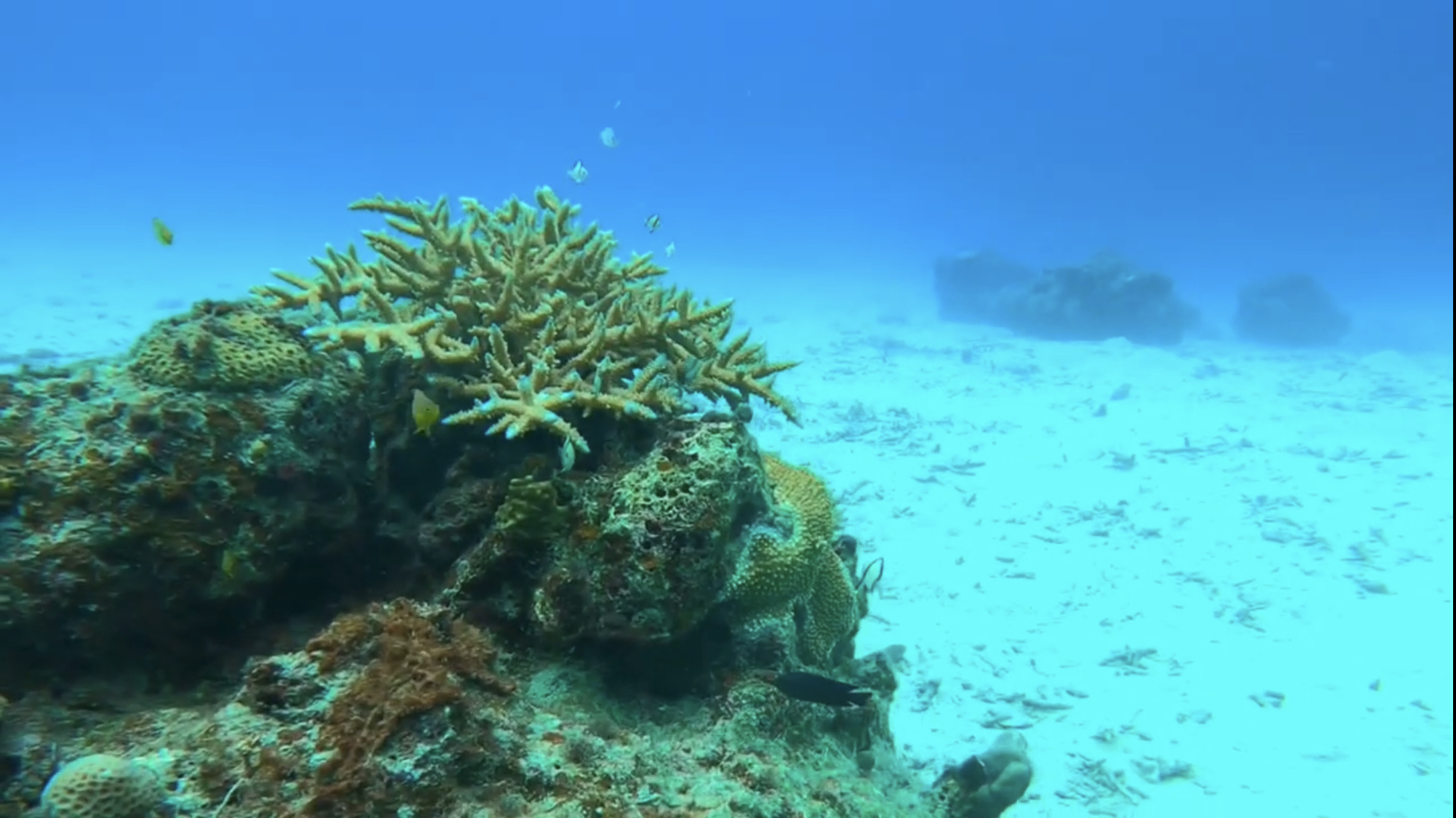 Zamami Island photo 2