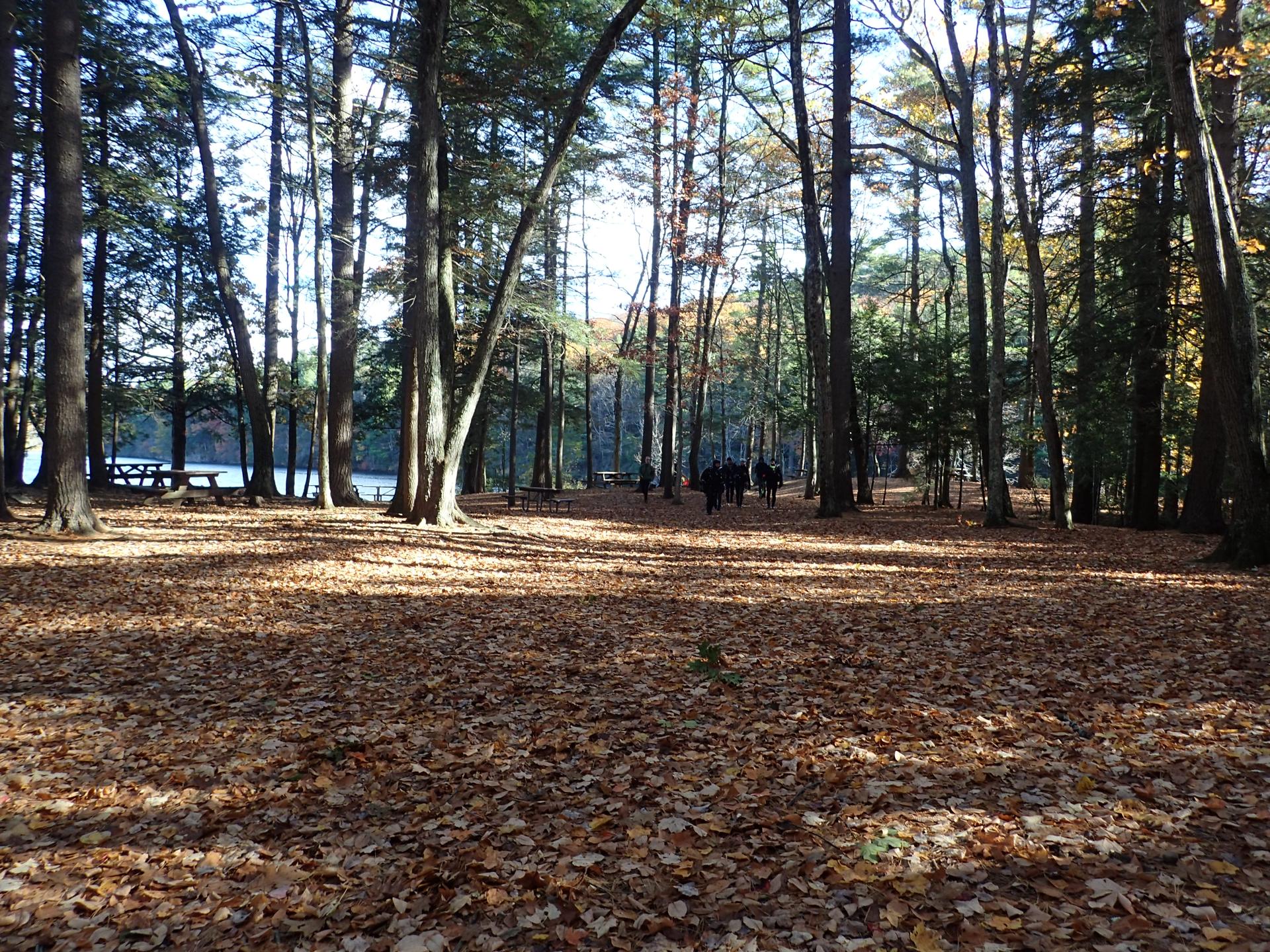 Bigelow Hollow State Park photo 3