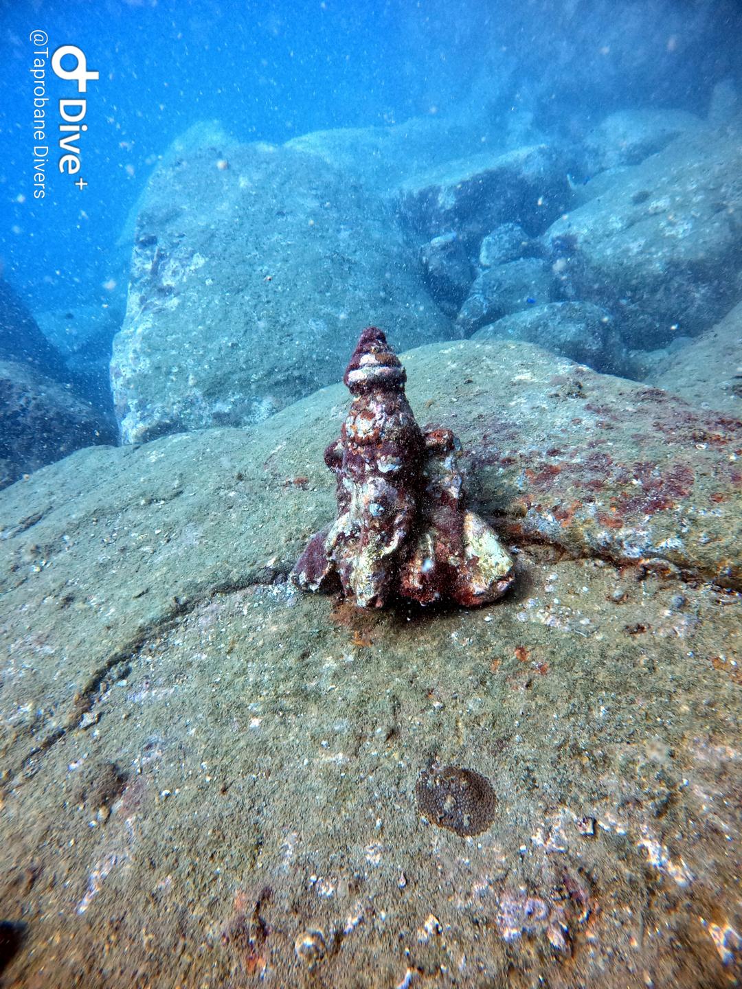 Swami Rock photo 2