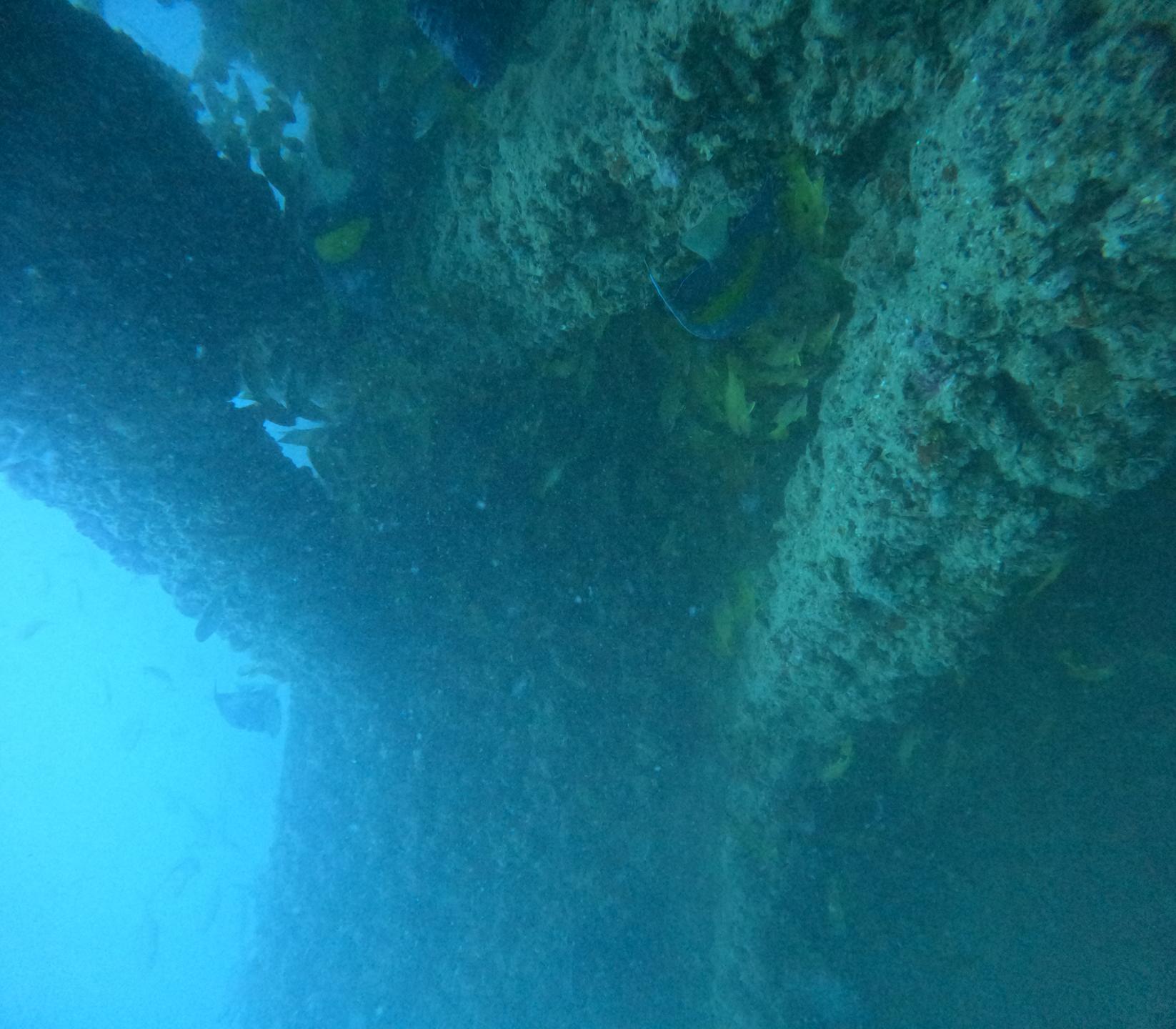 The Barge photo 5