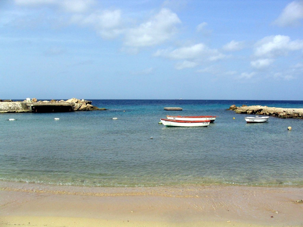 Pierbaai Reef (The Dive Bus House Reef) photo 5