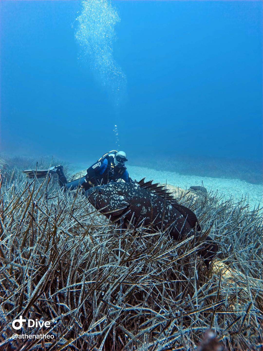 Barracuda Reef photo 2