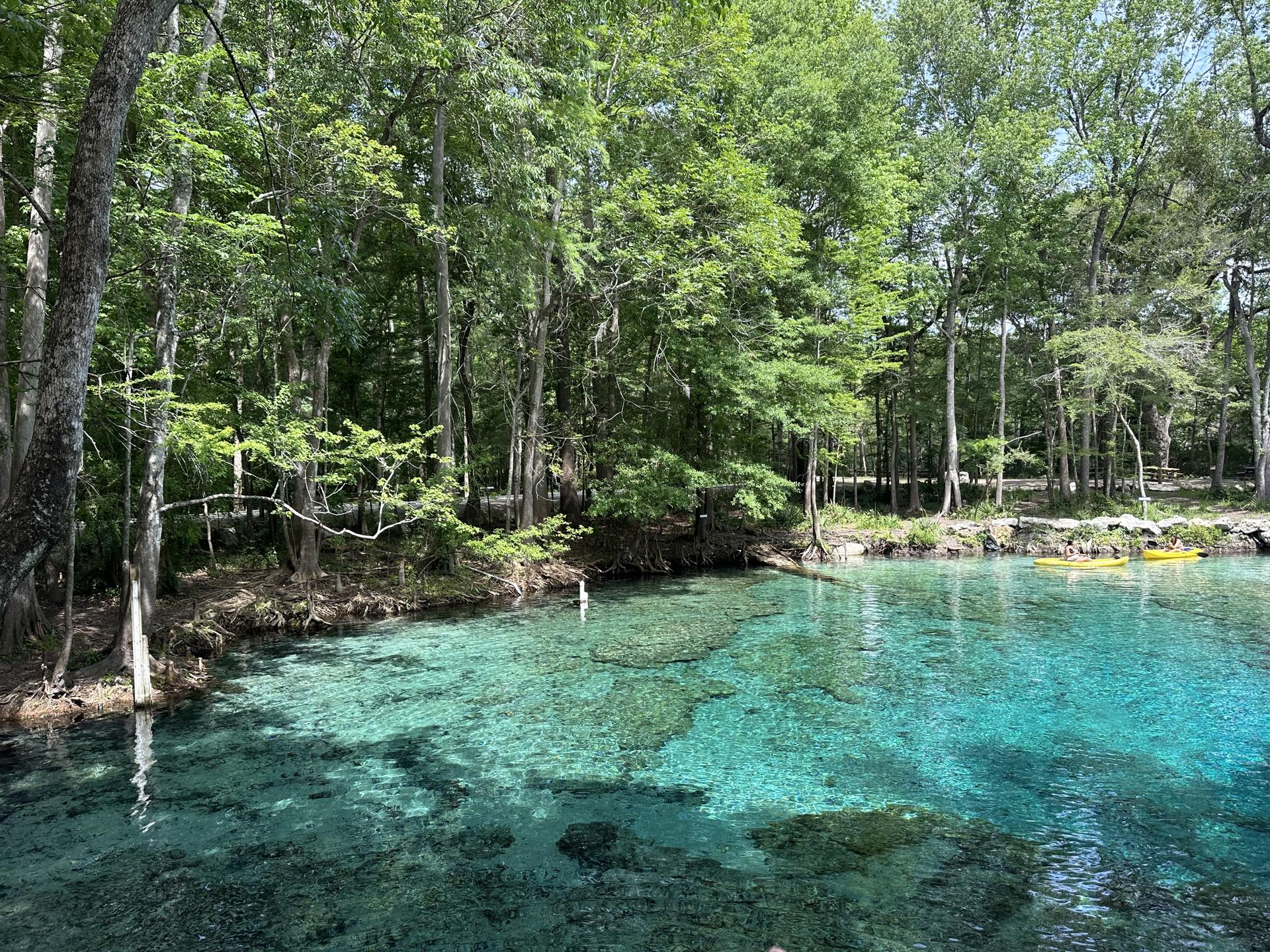 Ginnie Springs photo 4