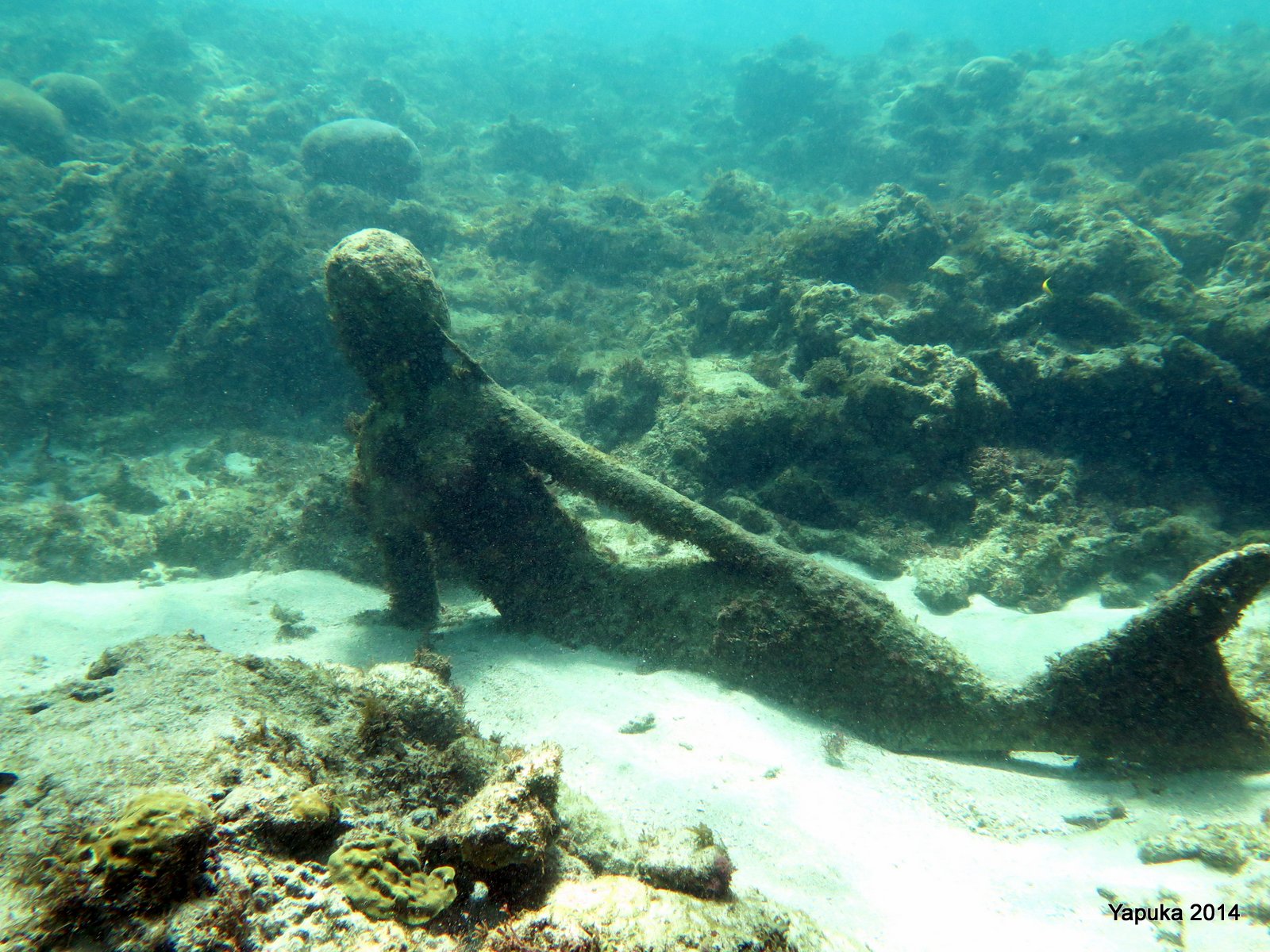 Underwater Sculpture Park photo 4