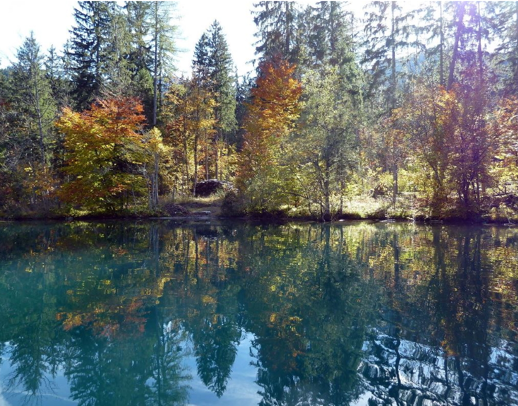 Little Canada photo 4