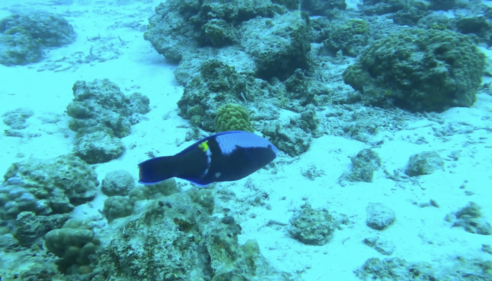 Zamami Island photo 3