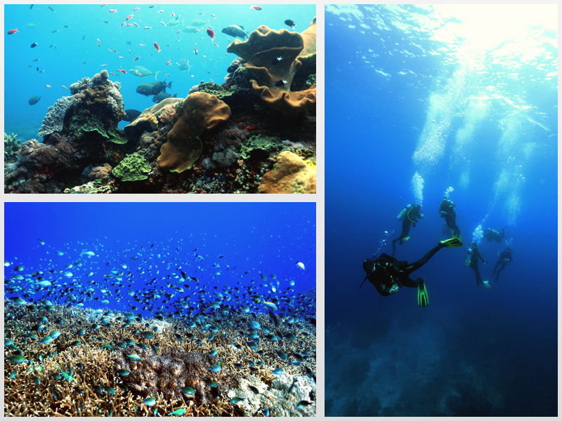 Gili Mimpang photo 2