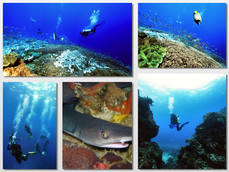 Gili Mimpang
