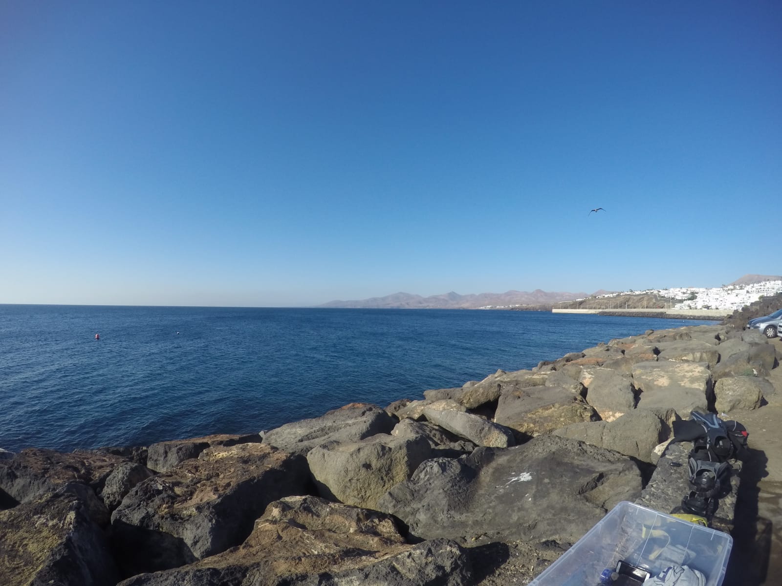 Harbour Wall