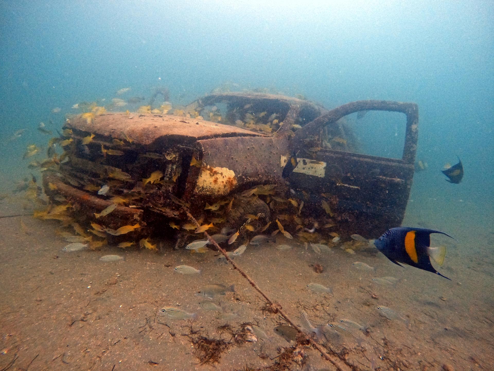 GMC Reef