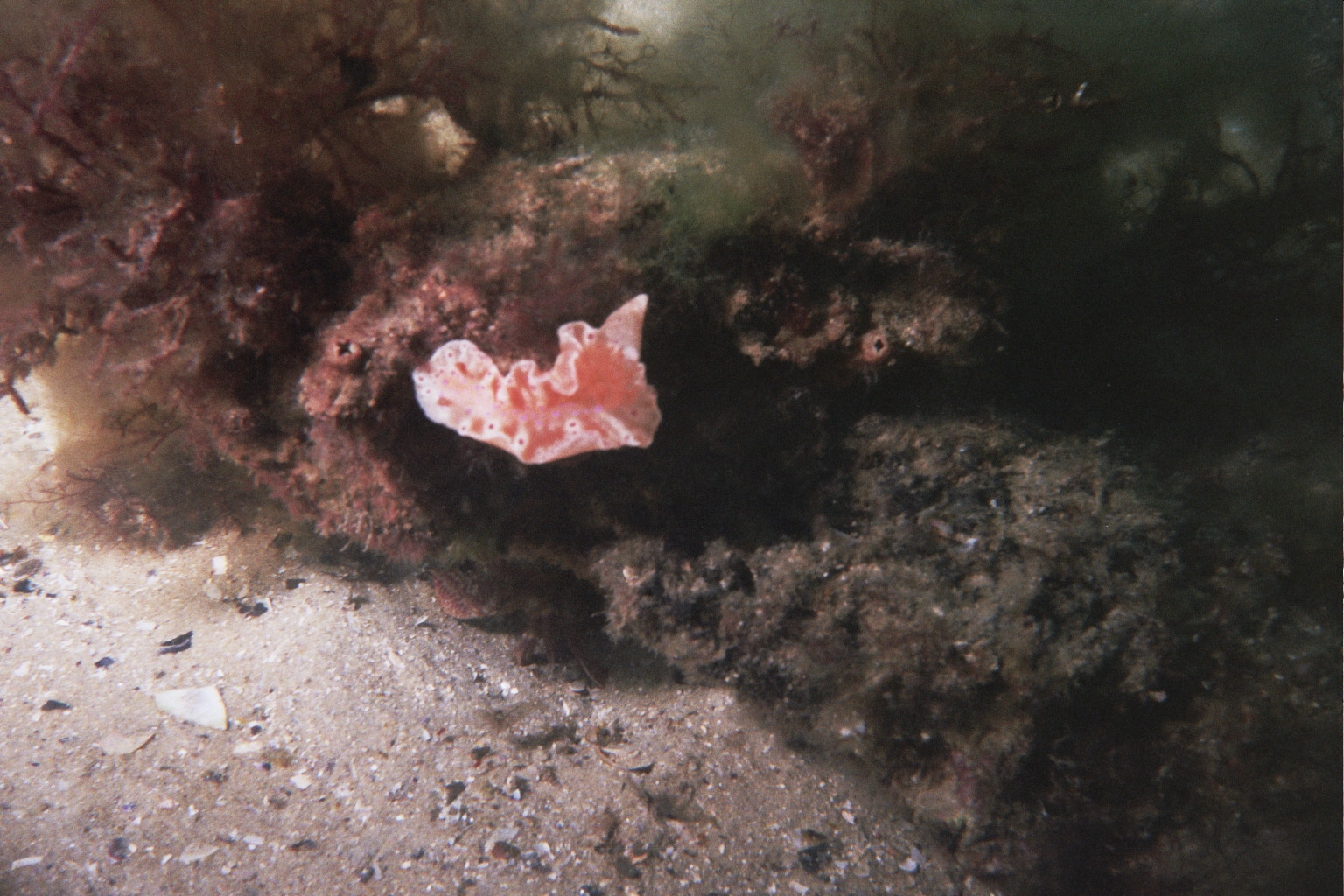 Warrnambool Breakwater, inside photo 7
