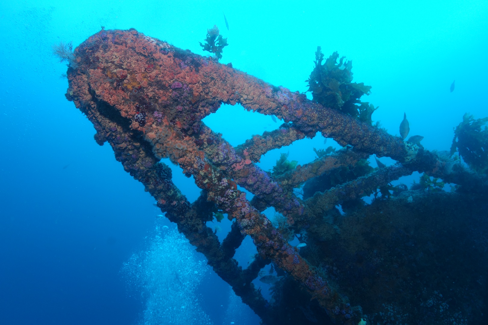 Rainbow Warrior Wreck photo 3