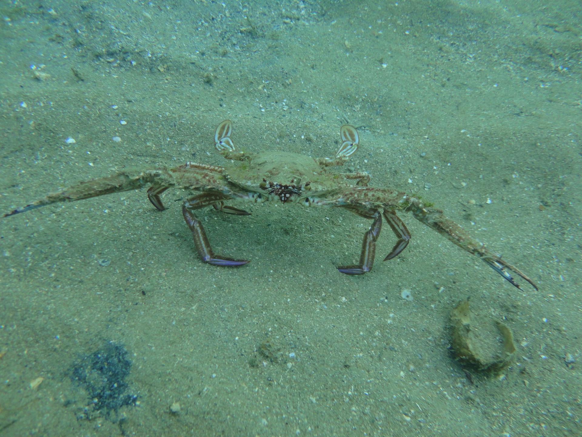 Quebra Mar photo 10