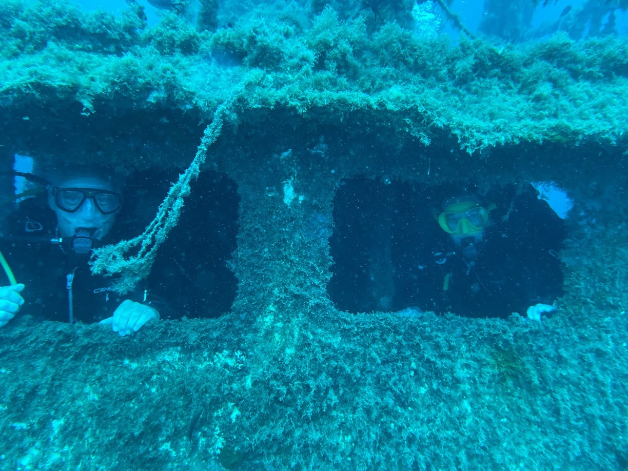 Palma Wrecks photo 5