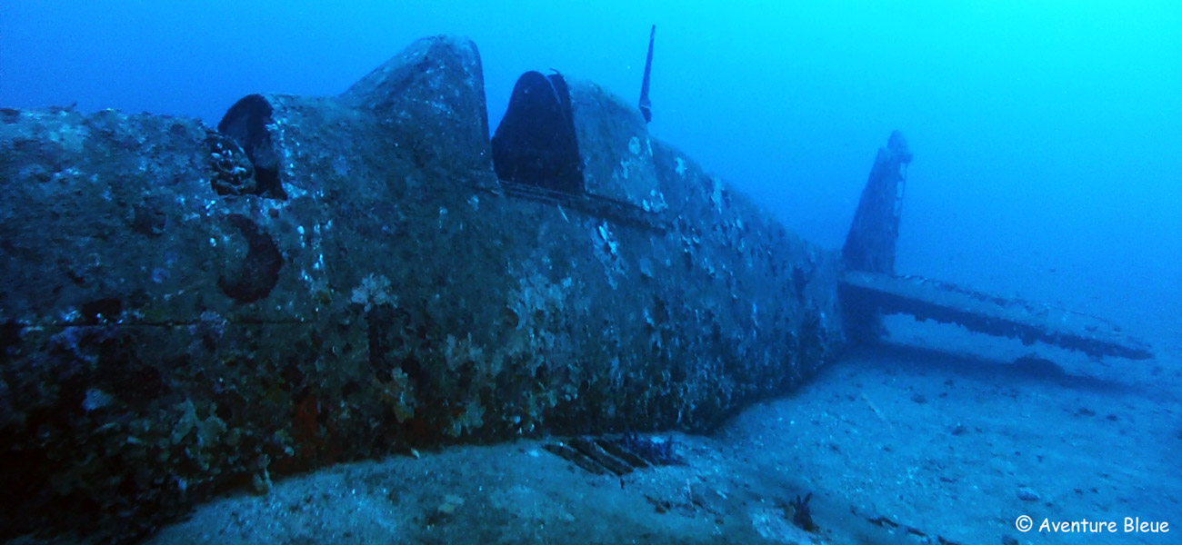 Hellcat (Grimman F6F) photo 4