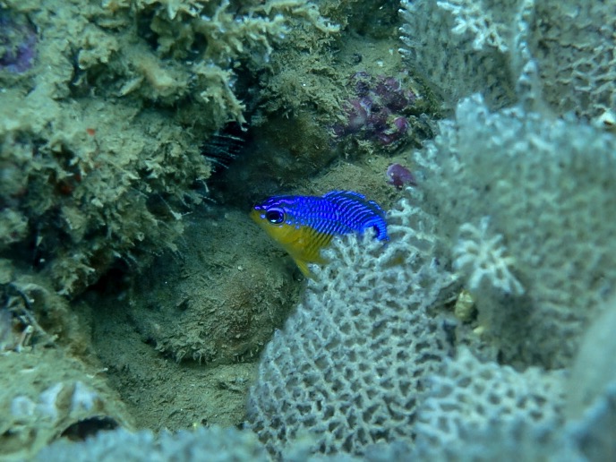 Punta Veleros photo 2