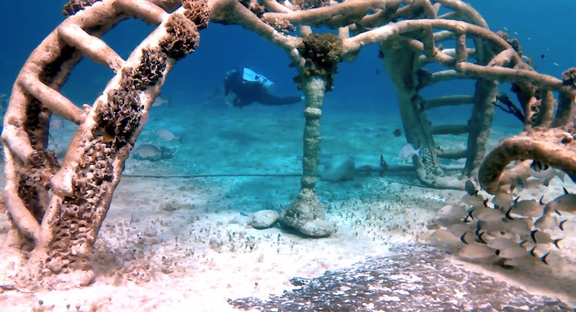 Villa Blanca Shallows