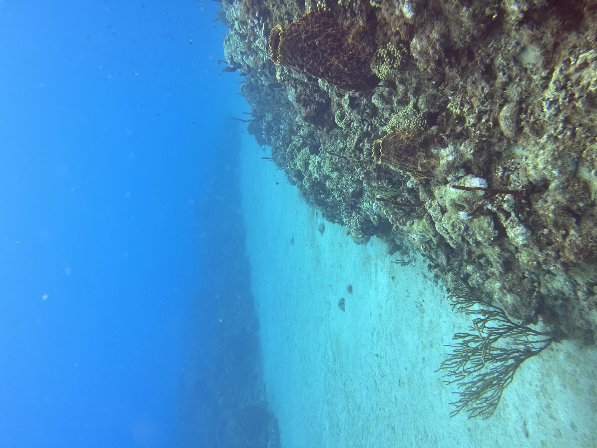 Pointe aux Fous photo 2