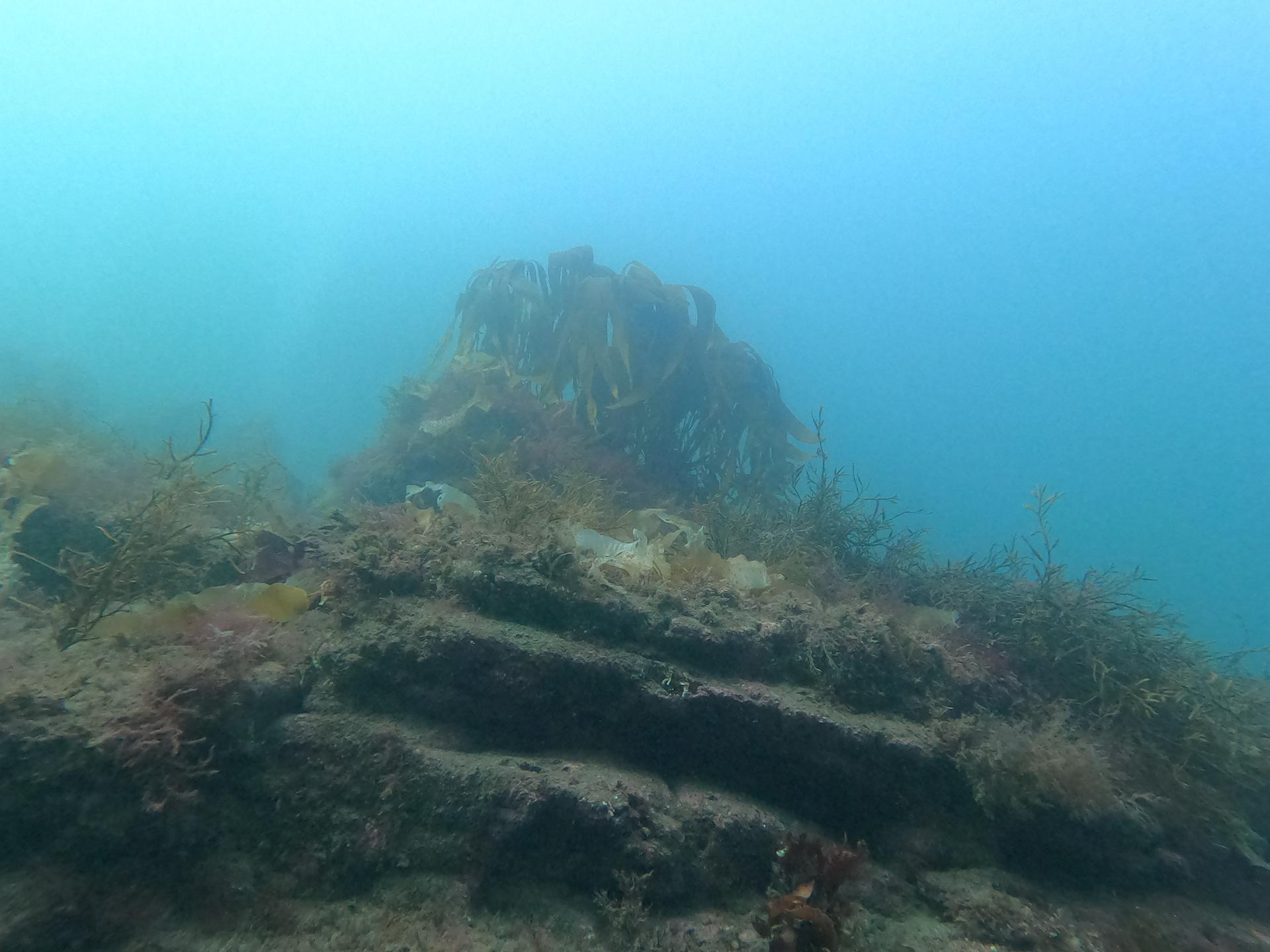 Beadnell Bay Ladyhole photo 3