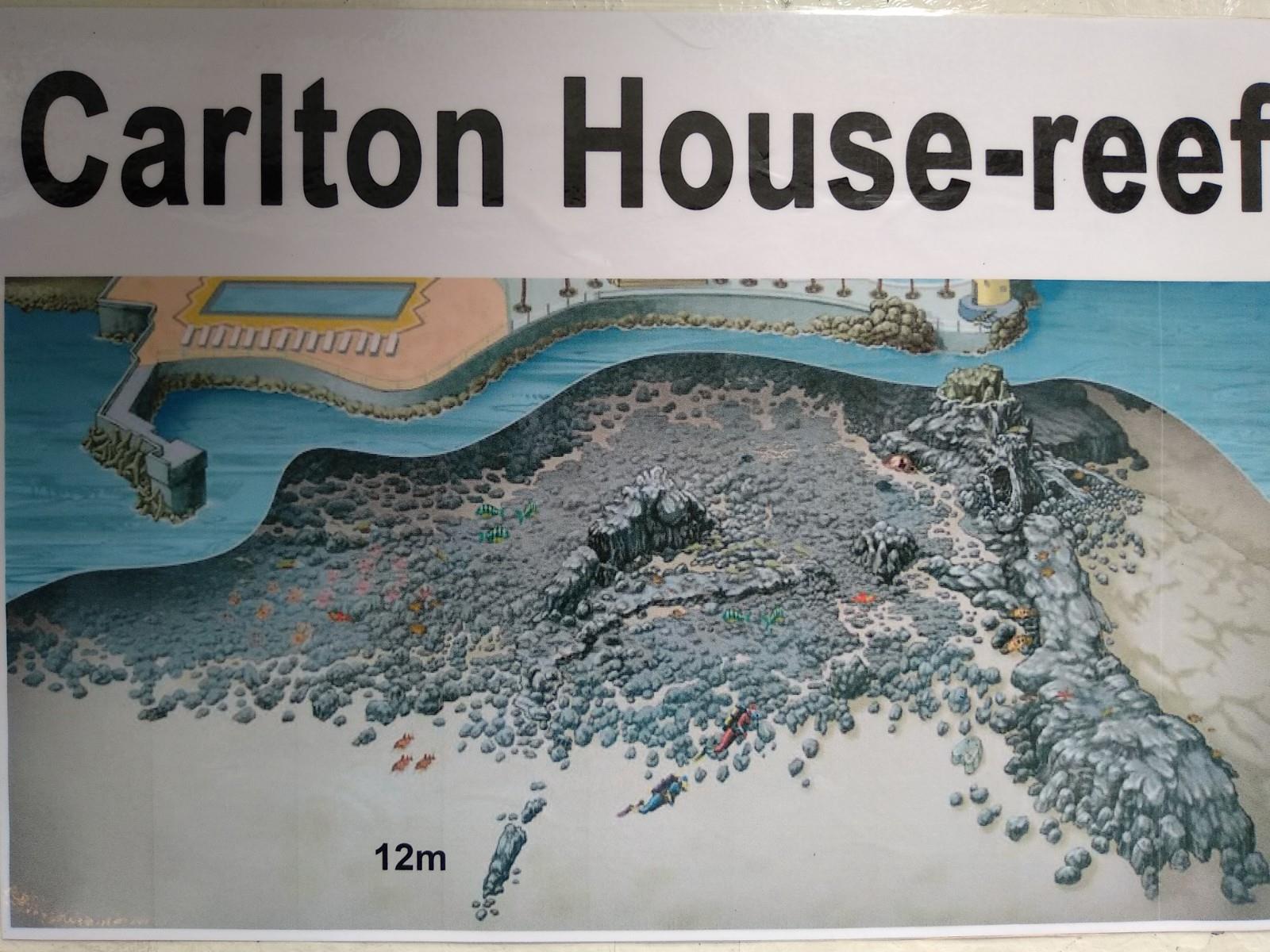 Carlton House reef