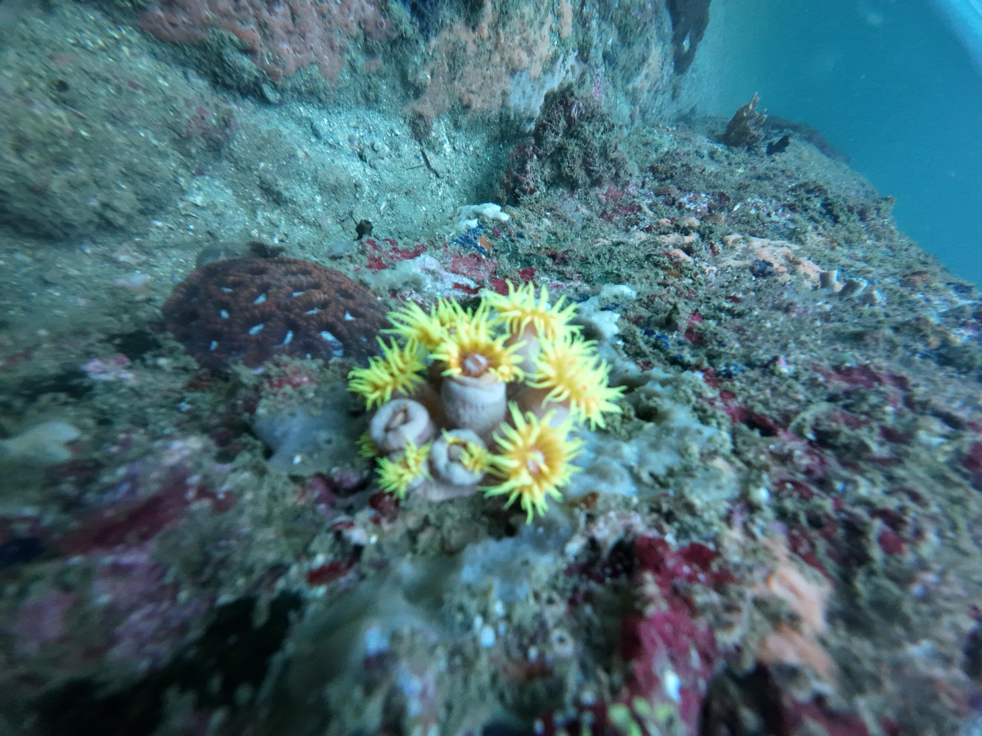 Klathipa Deep Dive site
