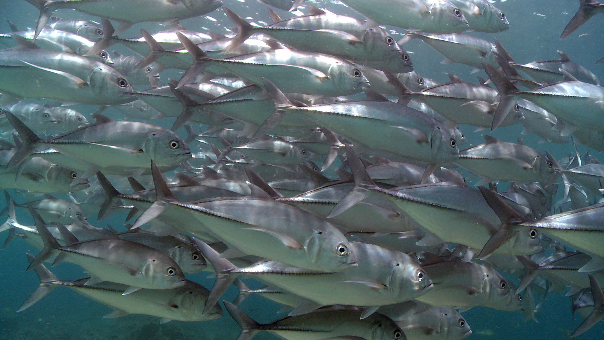 Hilutungan Island Marine Sanctuary