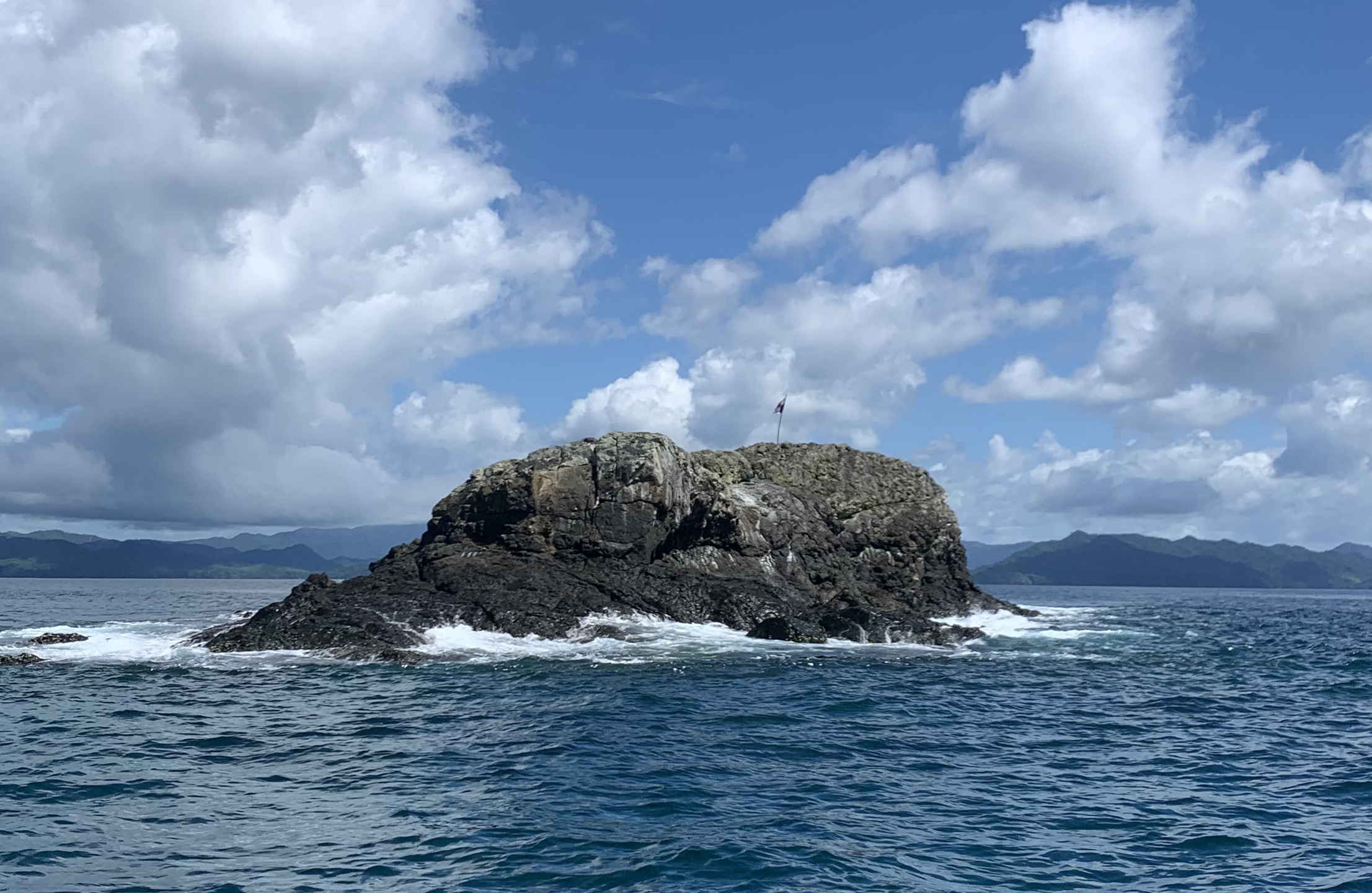 Wahoo (Dive Base Coiba)