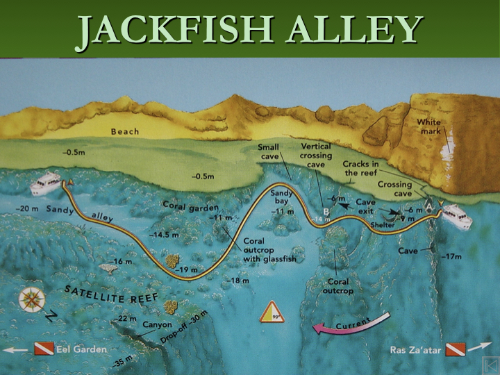 Jackfish Alley - Ras Mohammed photo 3
