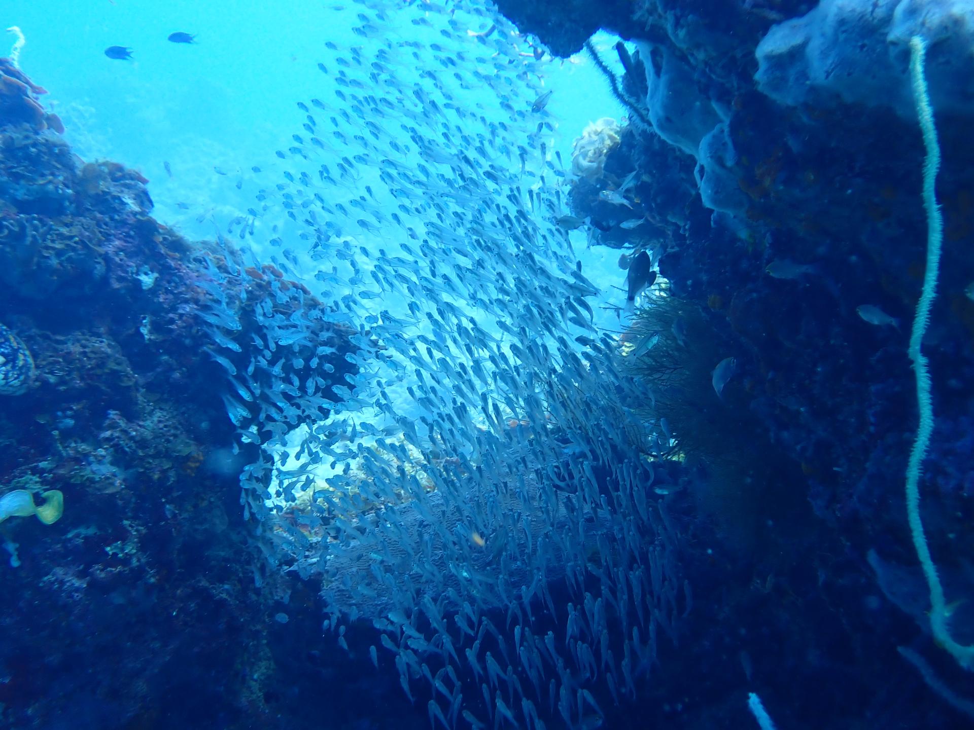 Middle Rocks (Cagnipa Island) photo 4